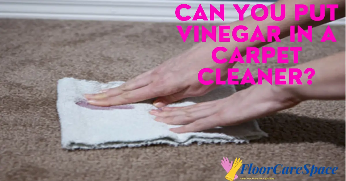 can-you-put-vinegar-in-a-carpet-cleaner