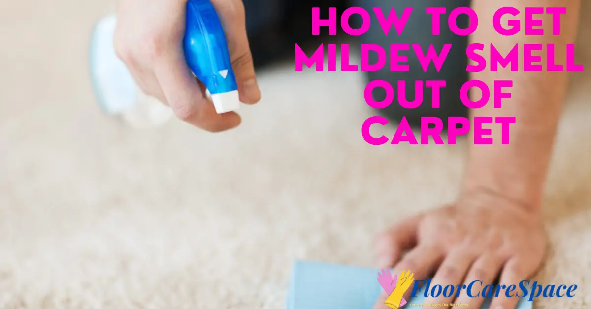 how-to-get-mildew-smell-out-of-carpet