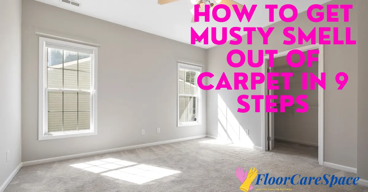 How To Get Musty Smell Out of Carpet In 9 Steps