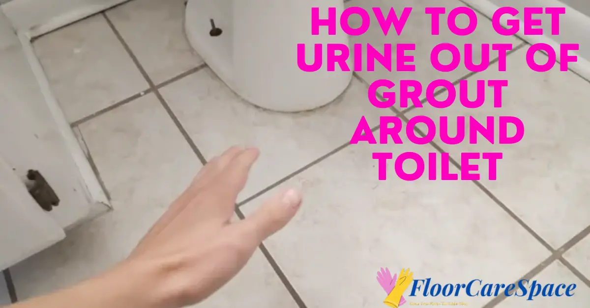 How To Get Urine Out of Grout Around Toilet