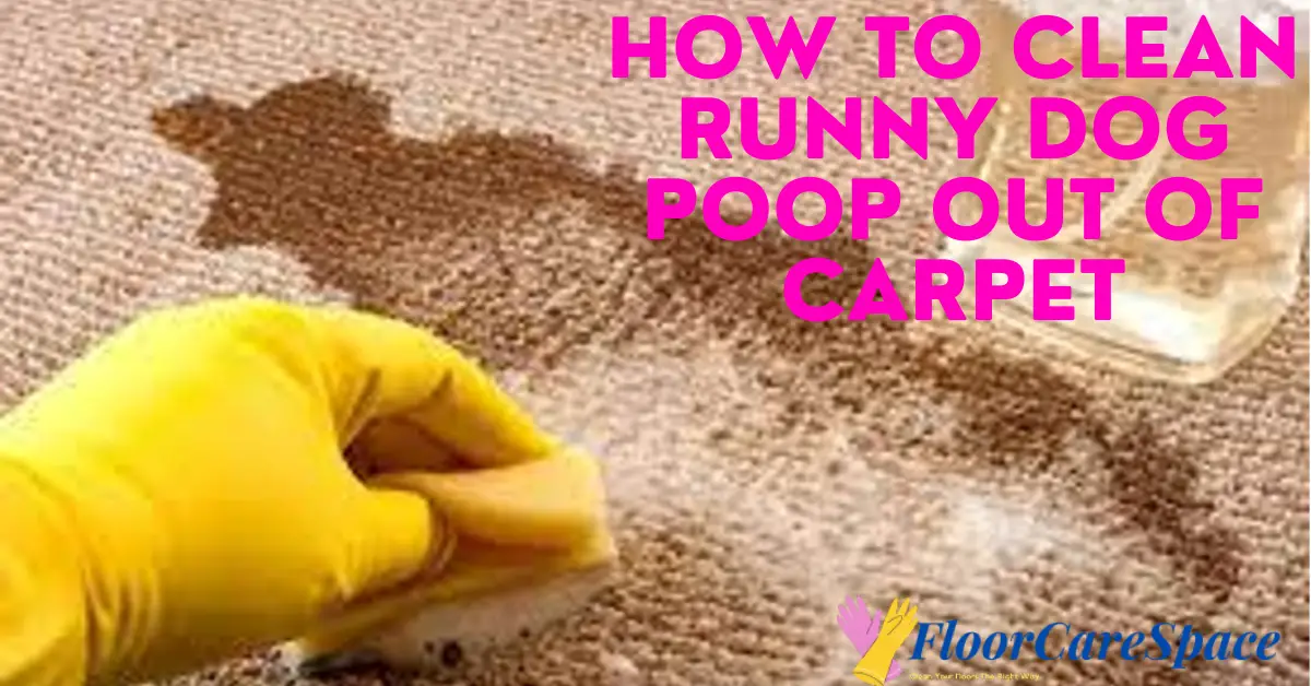 how-to-clean-runny-dog-poop-out-of-carpet-in-13-steps-floorcarespace